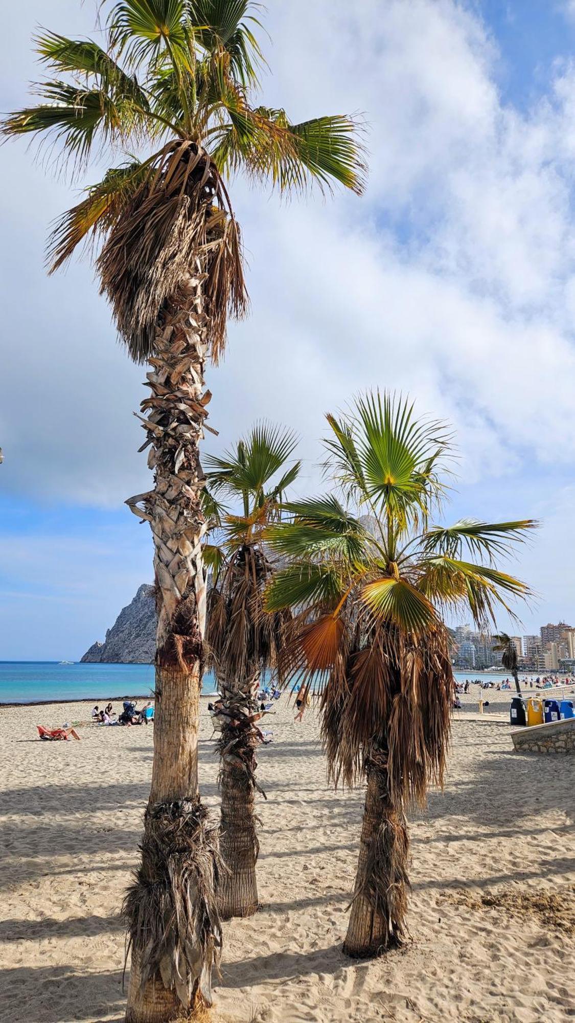 Esmeralda Suites Sunrise Con Piscina Calpe Kültér fotó